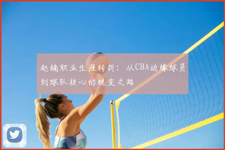 赵楠职业生涯转折：从CBA边缘球员到球队核心的蜕变之路