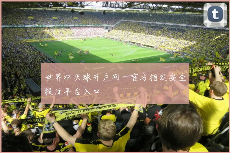 世界杯买球开户网 - 官方指定安全投注平台入口