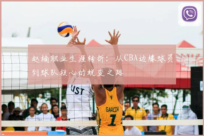 赵楠职业生涯转折:从CBA边缘球员到球队核心的蜕变之路