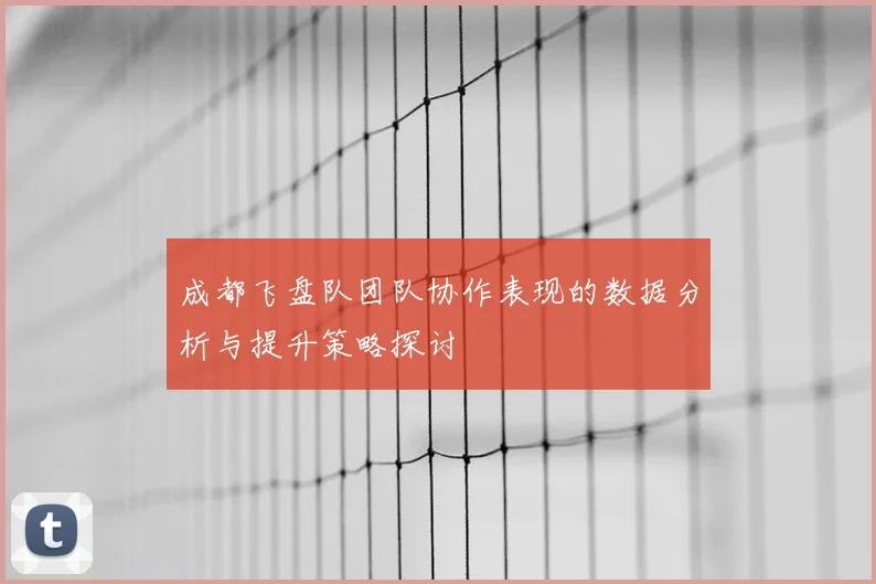 成都飞盘队团队协作表现的数据分析与提升策略探讨