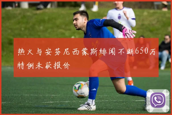热火与安芬尼西蒙斯绯闻不断650万特例未获报价