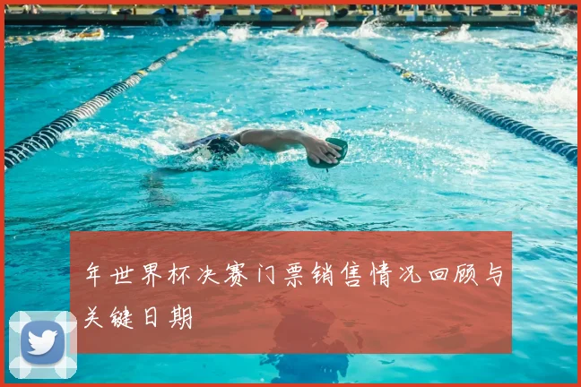 年世界杯决赛门票销售情况回顾与关键日期