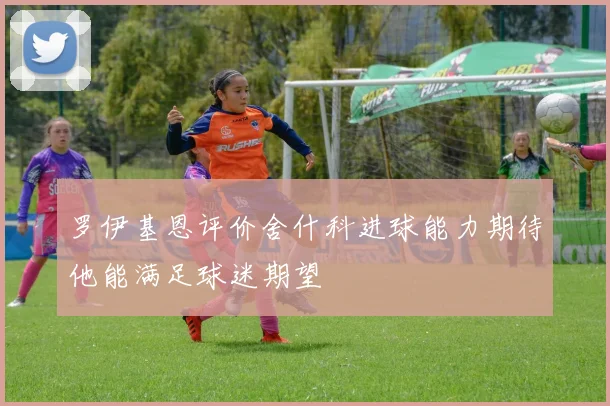 罗伊基恩评价舍什科进球能力期待他能满足球迷期望