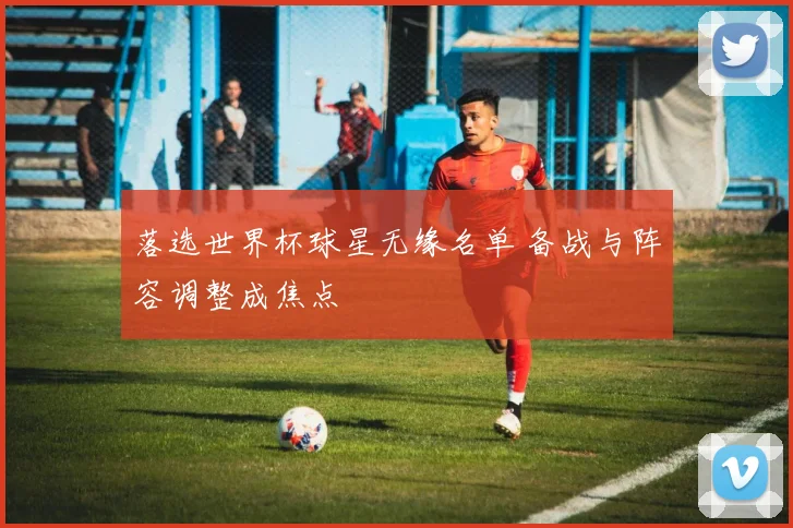 落选世界杯球星无缘名单 备战与阵容调整成焦点