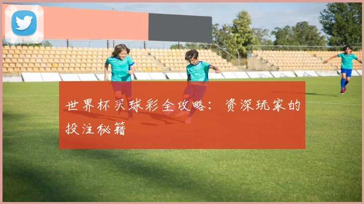 世界杯买球彩全攻略:资深玩家的投注秘籍